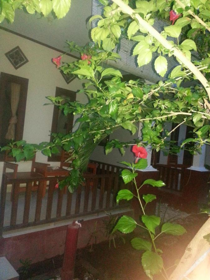 Family Bungalow Gili Meno Exterior photo